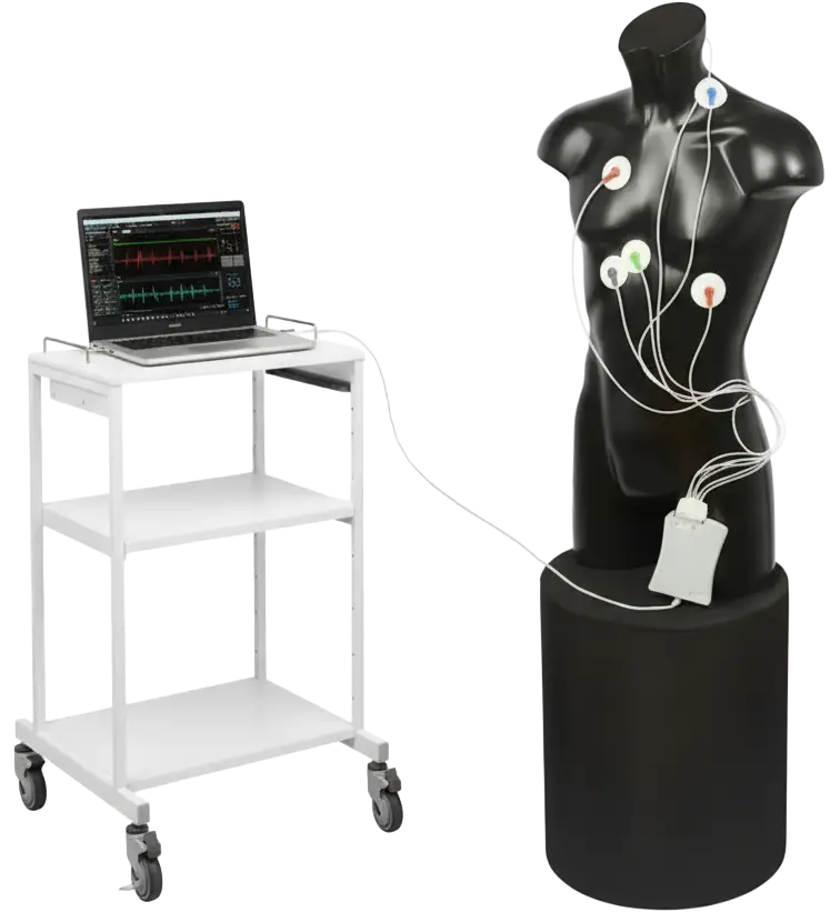 Q-Link セットアップ状態